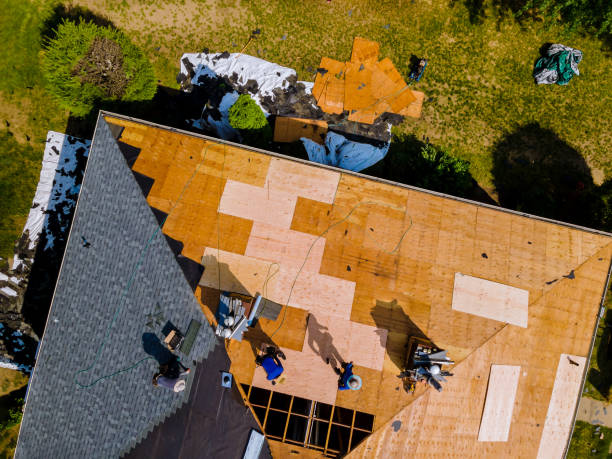 Best Flat Roof Repair Services  in Waelder, TX
