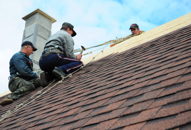 Best Gutter Installation and Roofing  in Waelder, TX